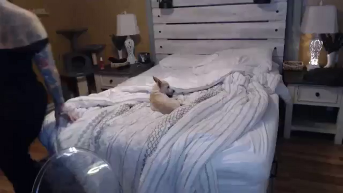 TXHouseWife