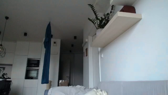 KotisFoxy