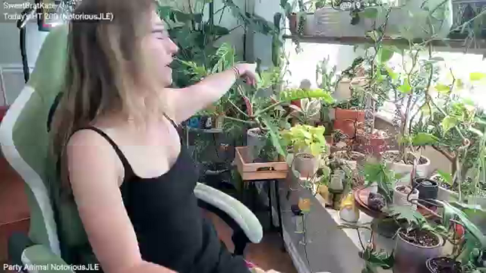 SweetbratKate