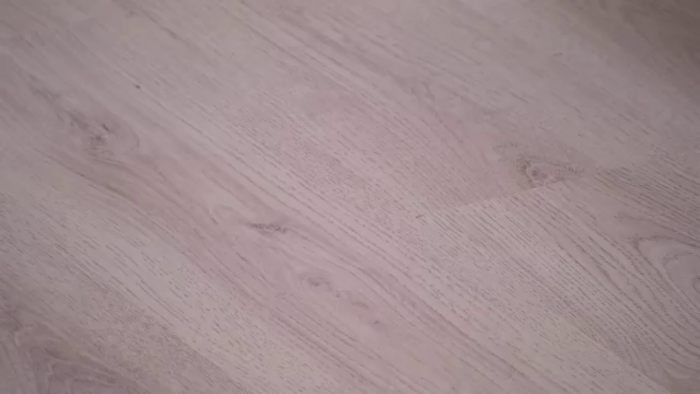 Squirrel_MFC