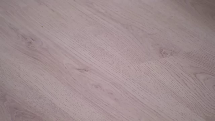 Squirrel_MFC