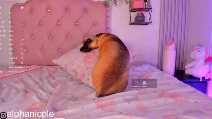 Sweet_Karen_