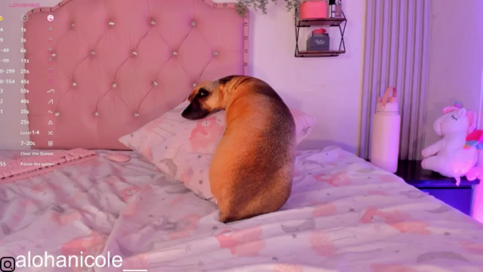 Sweet_Karen_