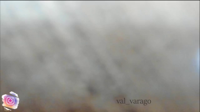 ViolethVarago