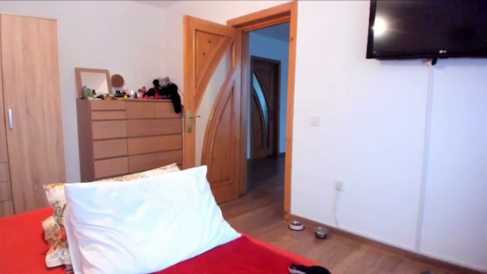 Wildallisa