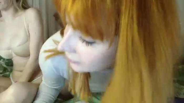 KotisFoxy