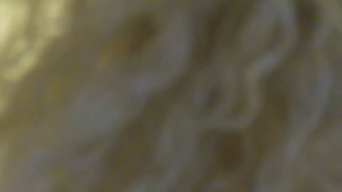 SassyKate