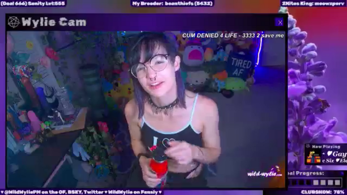 WildWyliePM