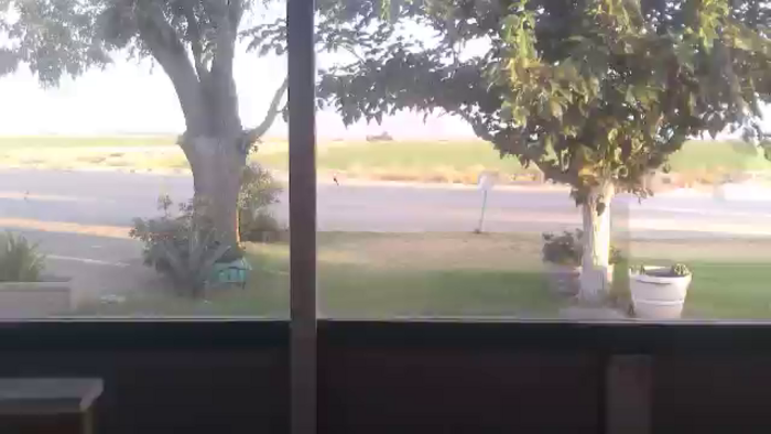 Lexlovesex