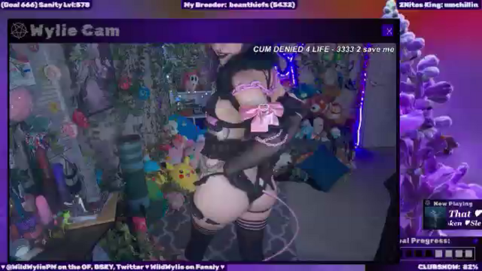 WildWyliePM
