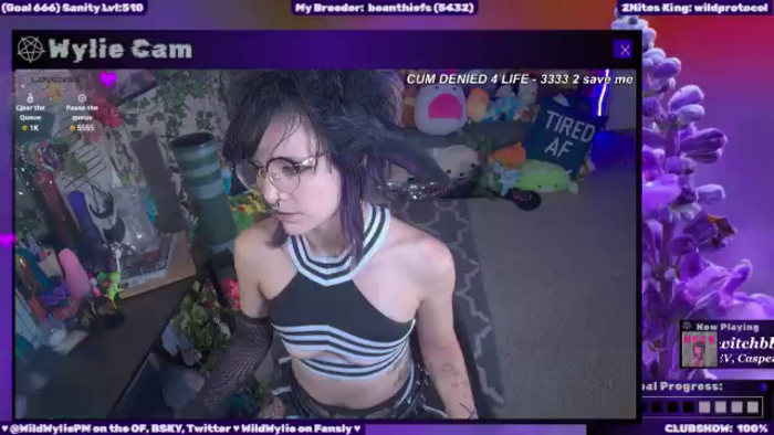 WildWyliePM