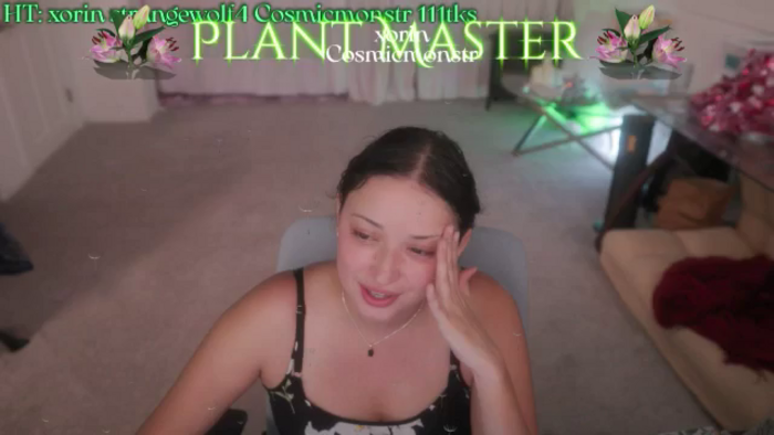 MaeveMystery