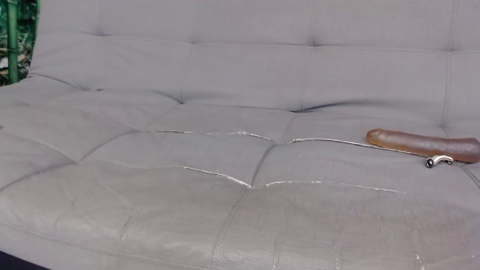Stefanybro