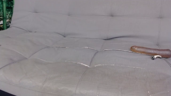 Stefanybro