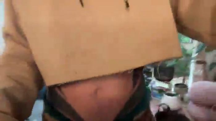 Alt_Aussie