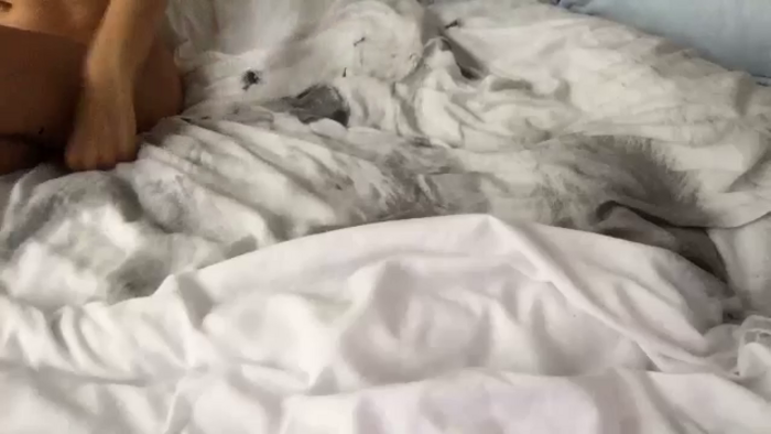 Barbxie