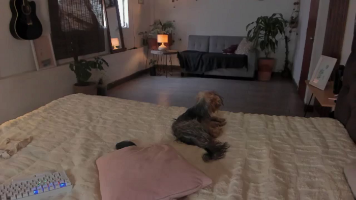 Lucy_mar