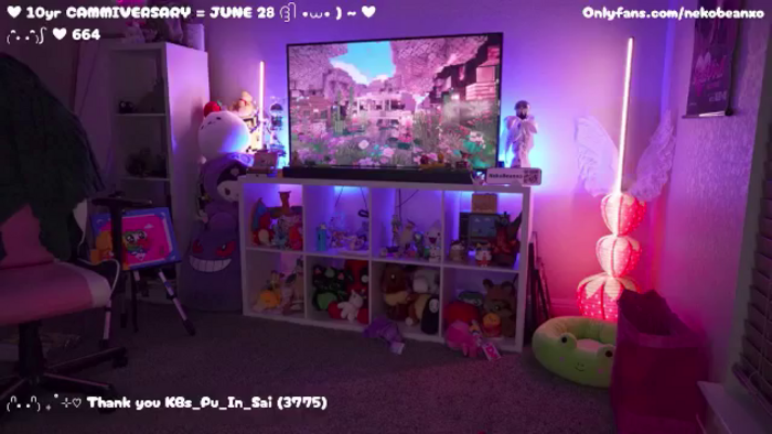 Nekobeanxo