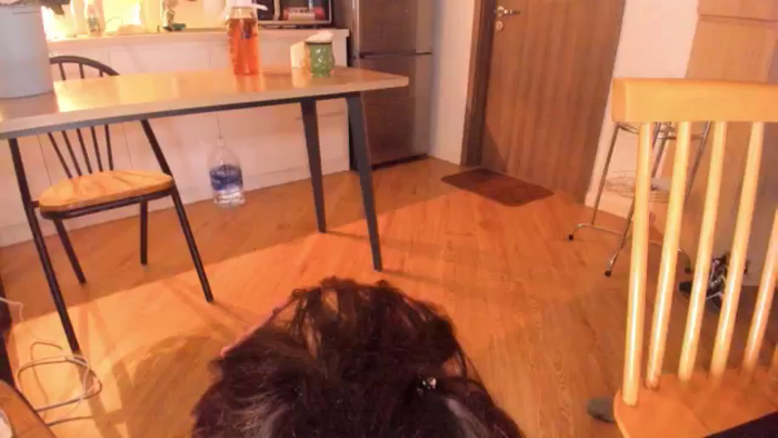 Didi_kawaii