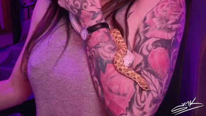 ShowMeKitties