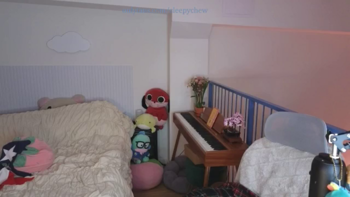 Sleepych3w