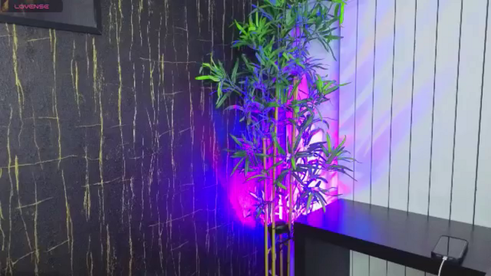 Alysereuse