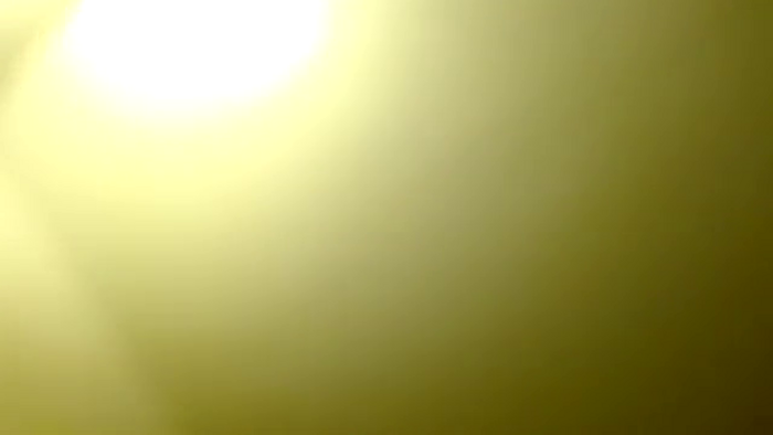 EgyptBeauty