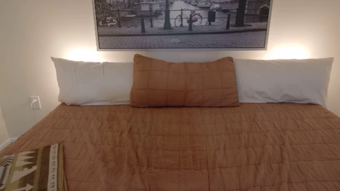 eh1_Scarlett