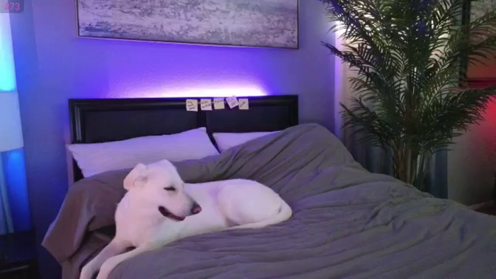 LexxiStar
