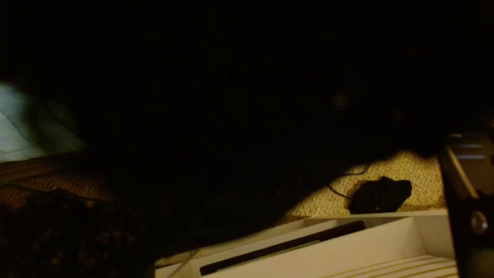 Cougar_Vibes