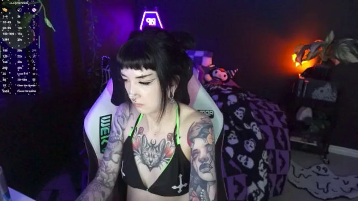 TatsnCats