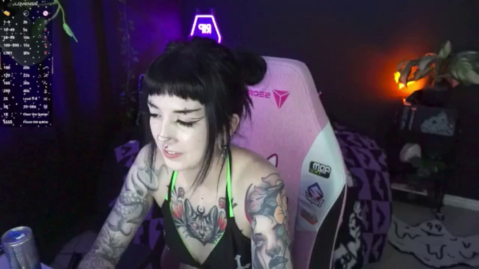TatsnCats