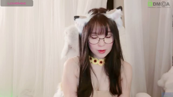 meowtheworld