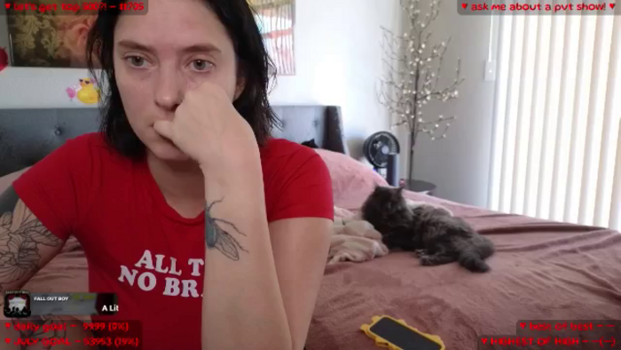 MollyMeowz