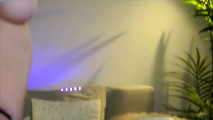 petitegonwild