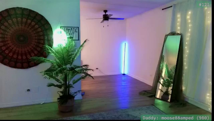 meowgical