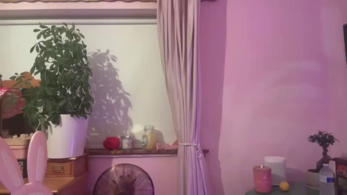 Pandabella