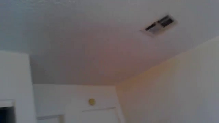RavenVidVixen