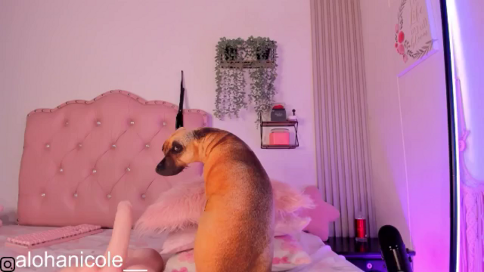 Sweet_Karen_