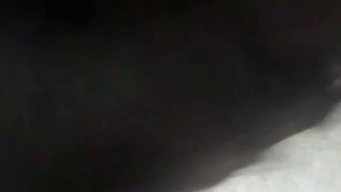 sammy_12