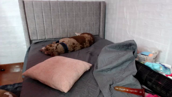 CarolineMel