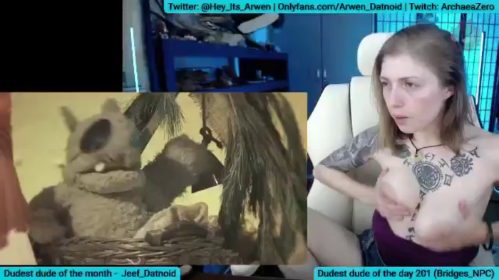Arwen_Datnoid