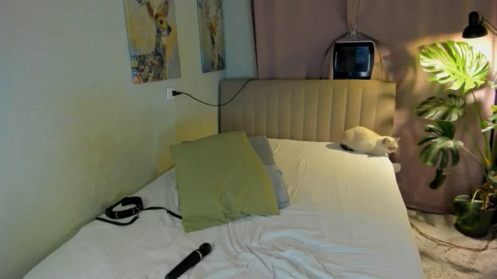 AlexaShik
