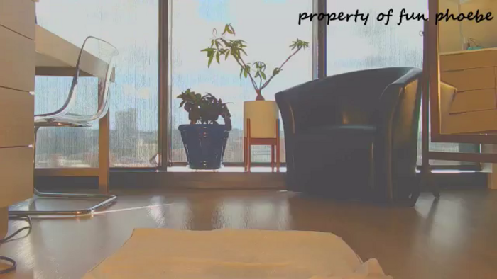 Fun_Phoebe