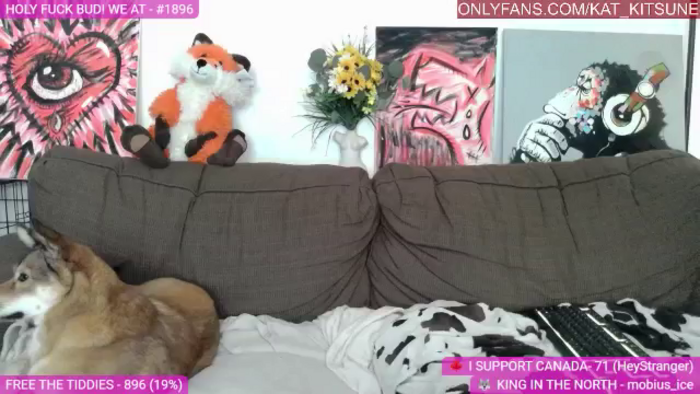 Kat_Kitsune