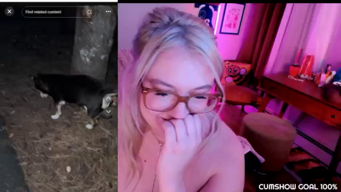 MollySnacks