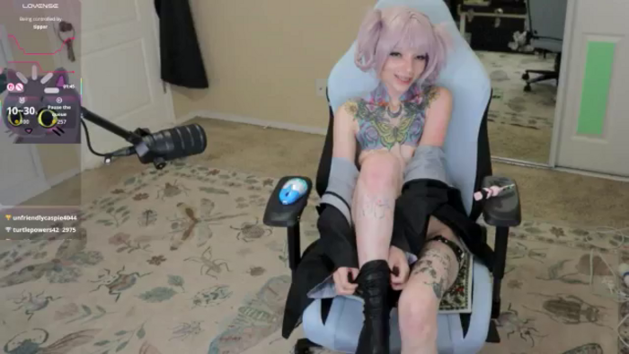 Shellybeans