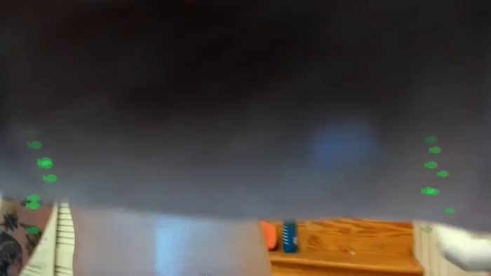TheSharkQueen