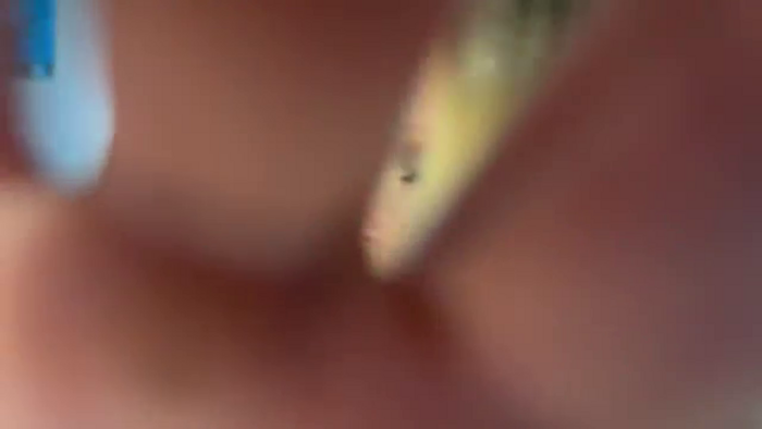 F_L_E_U_R