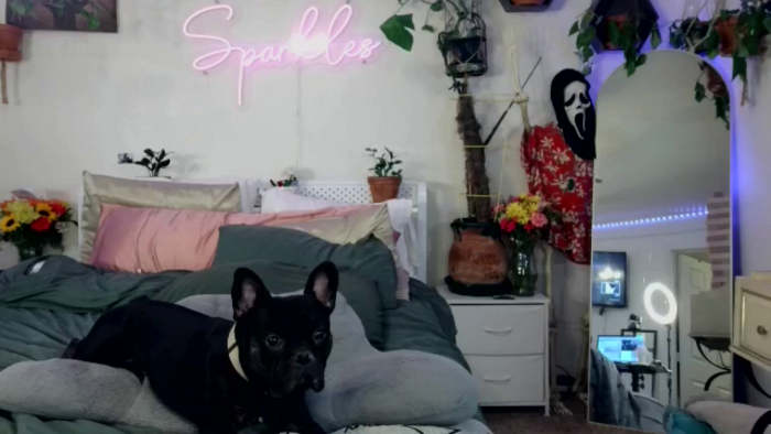 SPARKL3S
